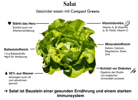 Salat und CO2