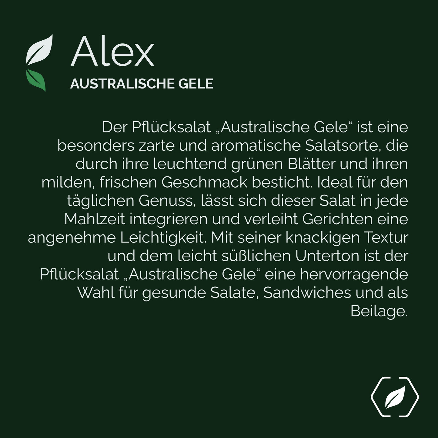 "Alex" - Pfücksalat