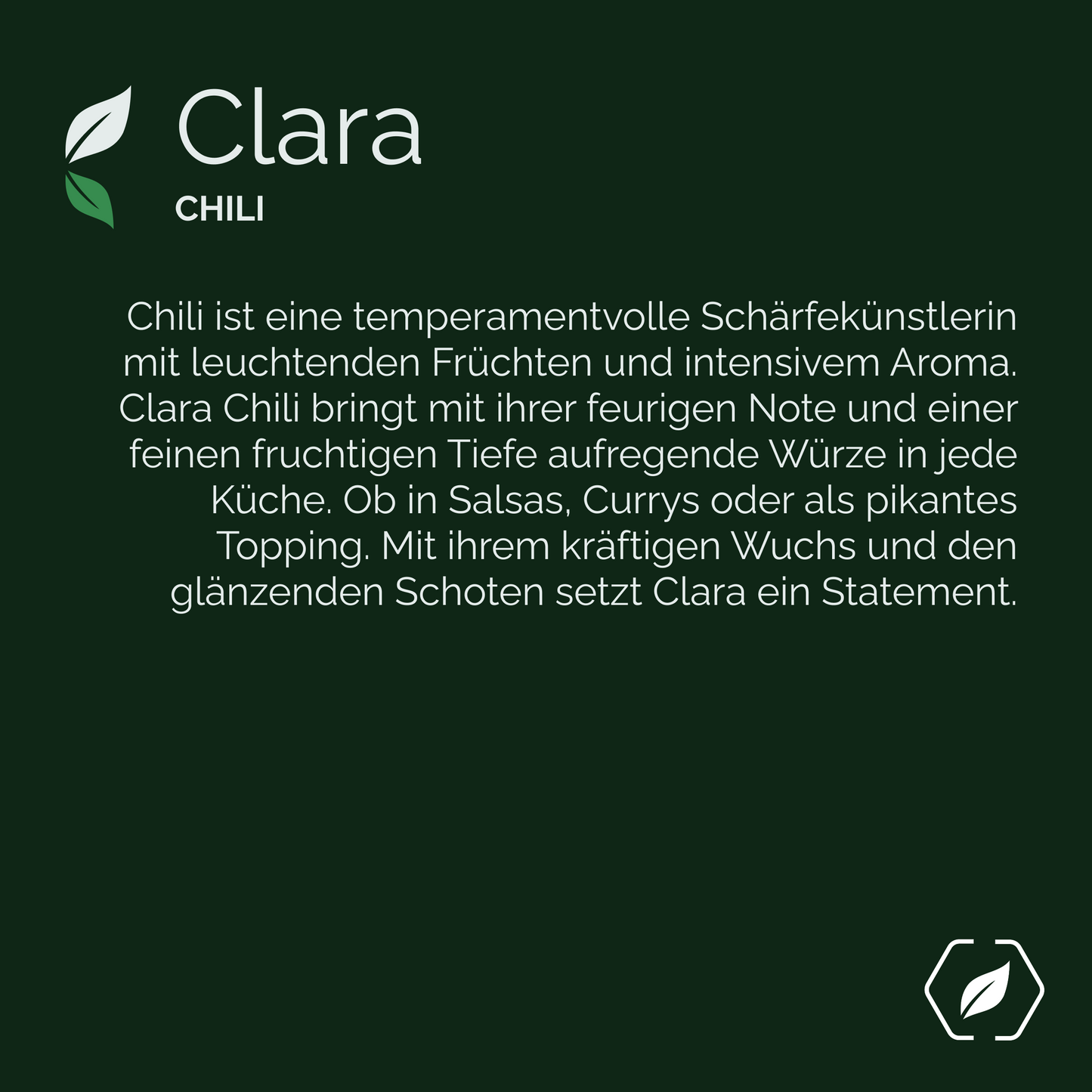 "Clara" - Chili