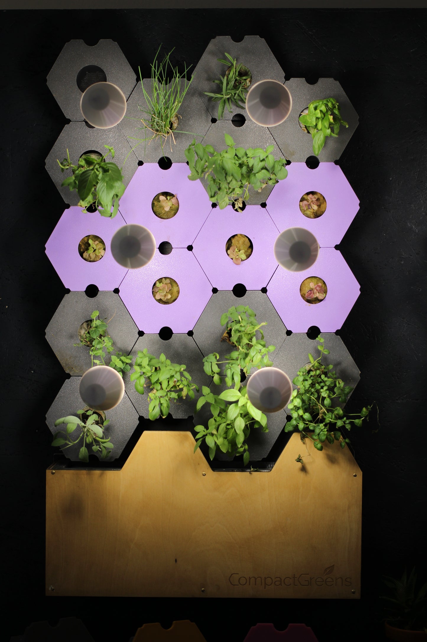 GreenWall - Garden