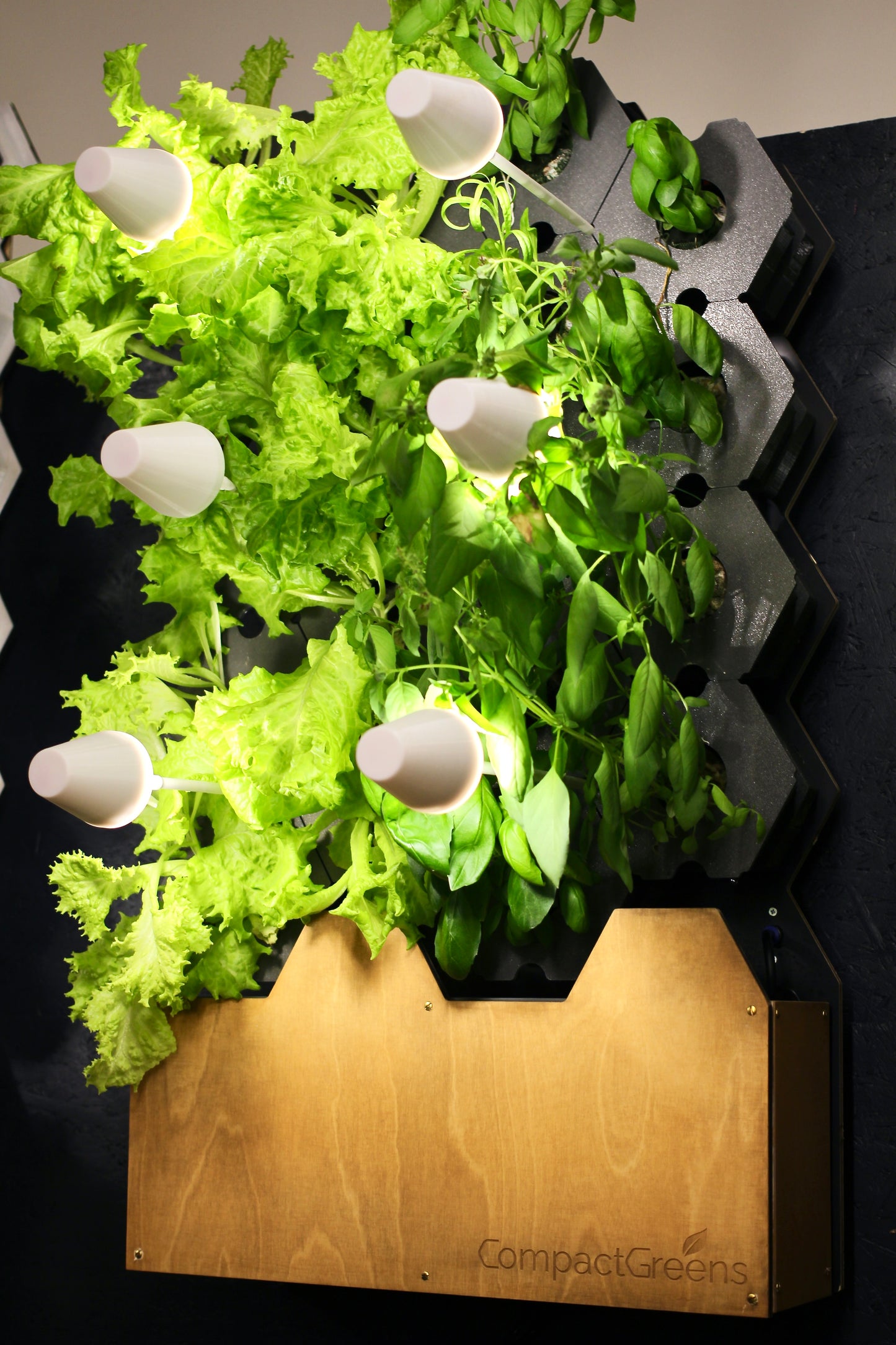 GreenWall - Garden