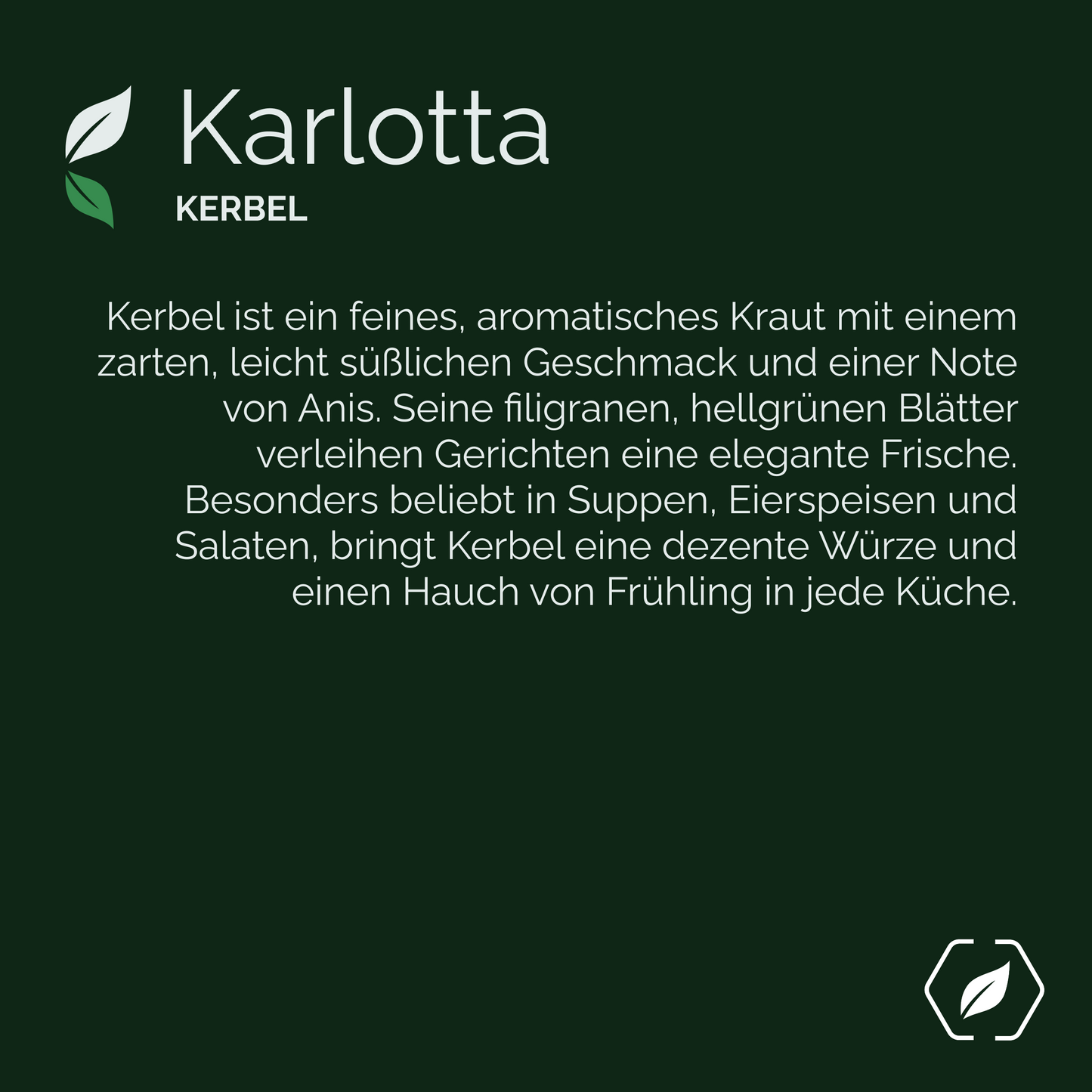 "Karlotta" - Kerbel