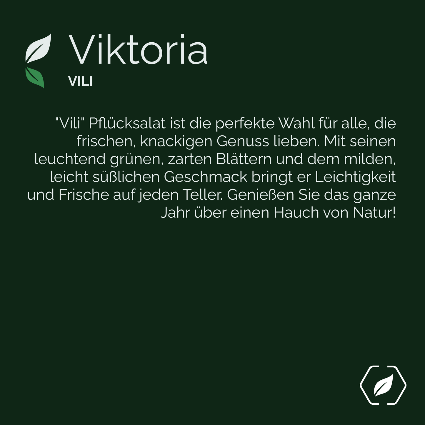 "Viktoria" - Pflücksalat