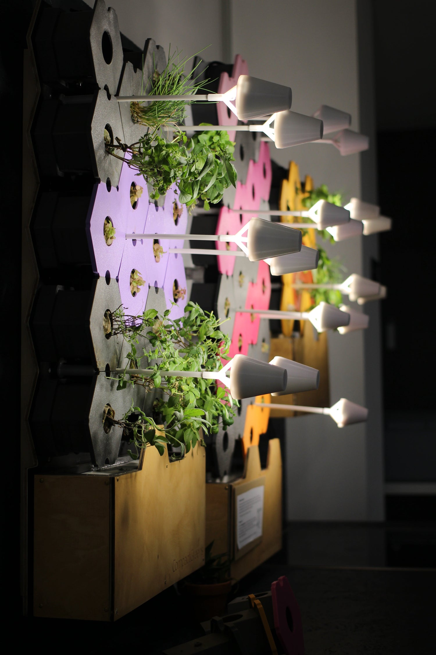 GreenWalls