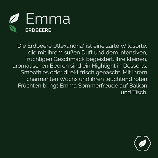 "Emma" - Erdbeere