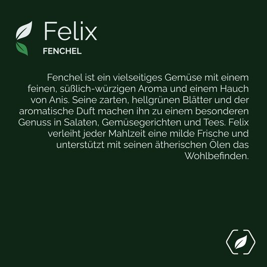 "Felix" - Fenchel