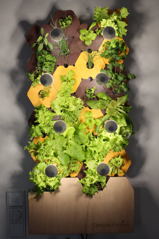 GreenWall - Harvest