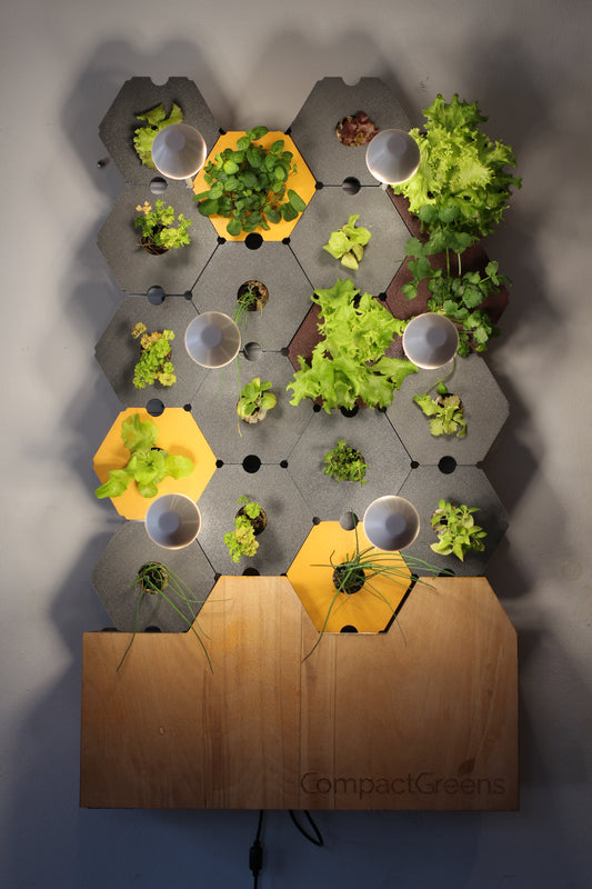 GreenWall - Garden