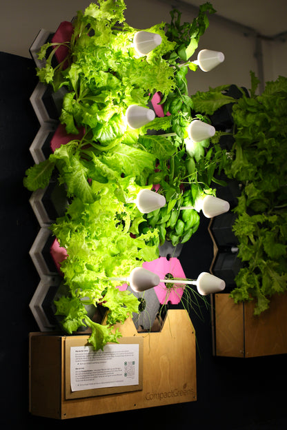 GreenWall - Harvest