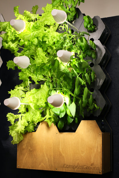 GreenWall - Garden