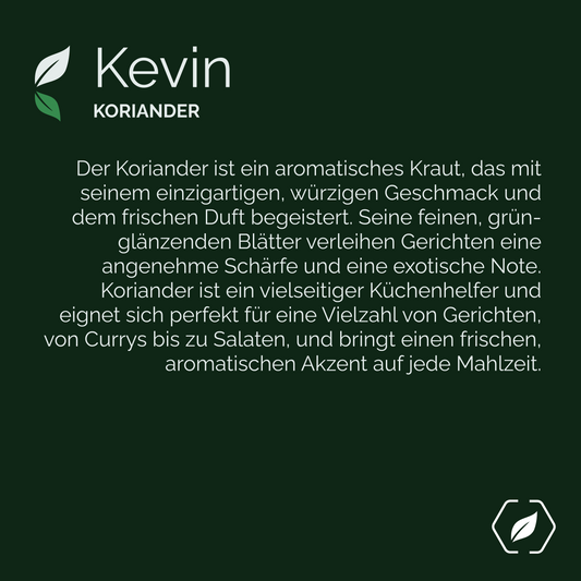 "Kevin" - Koriander