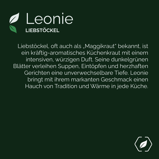 "Leonie" - Liebstöckel