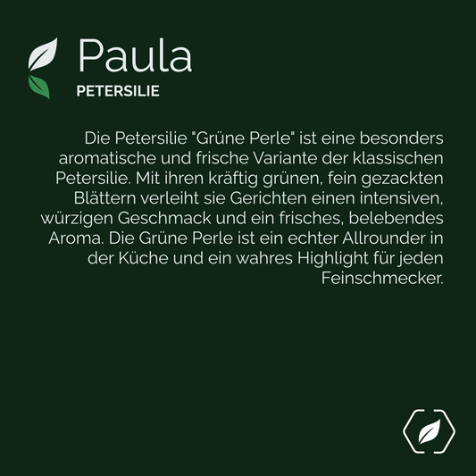 "Paula" - Petersilie