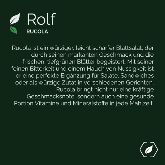"Rolf" - Rucola