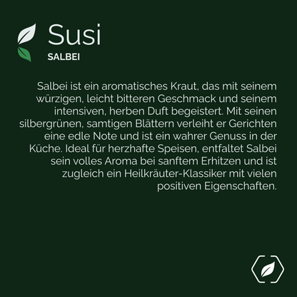 "Susi" - Salbei