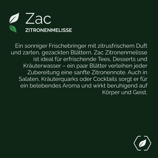 "Zac" - Zitronenmelisse