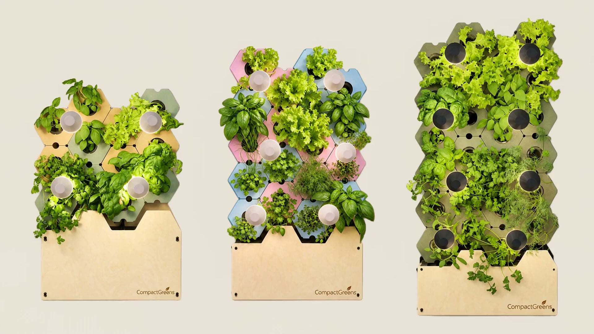 CompactGreens Pflanzenwand mit frischen Kräutern und Salaten an einer hellen Wand